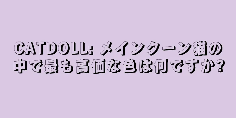 CATDOLL: メインクーン猫の中で最も高価な色は何ですか?