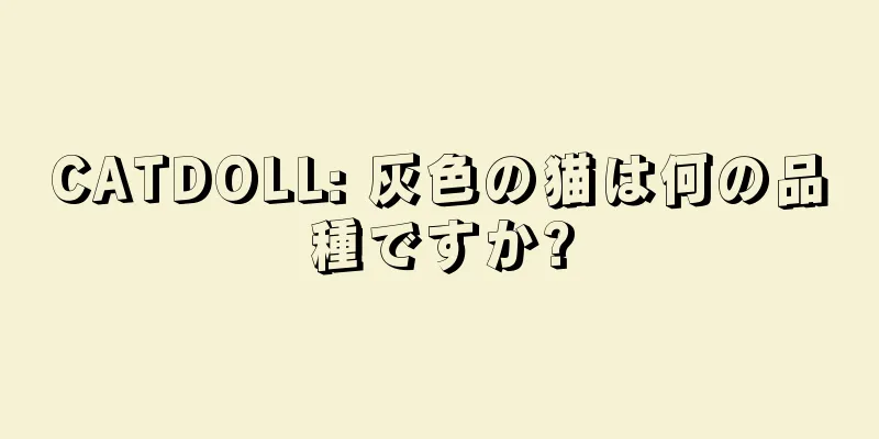 CATDOLL: 灰色の猫は何の品種ですか?