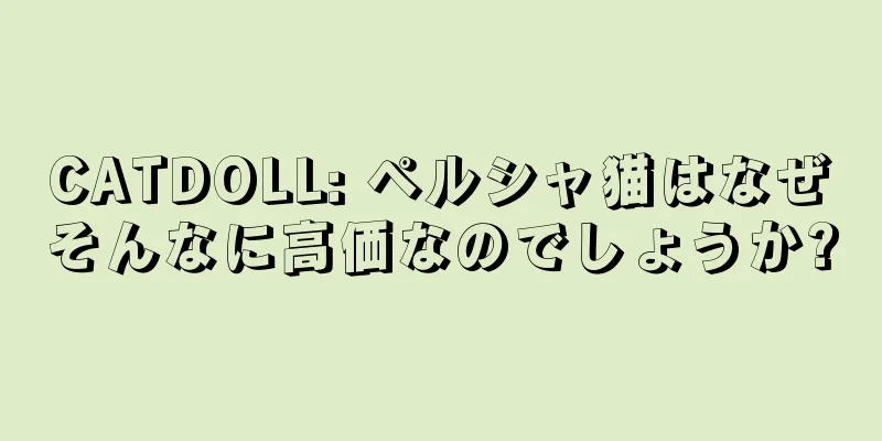 CATDOLL: ペルシャ猫はなぜそんなに高価なのでしょうか?