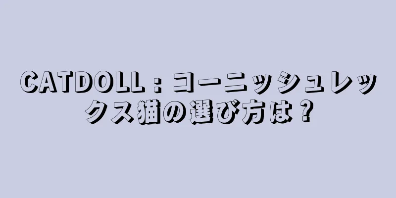 CATDOLL : コーニッシュレックス猫の選び方は？