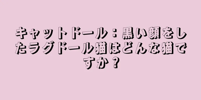 キャットドール：黒い顔をしたラグドール猫はどんな猫ですか？