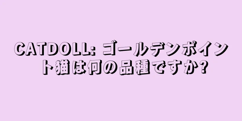 CATDOLL: ゴールデンポイント猫は何の品種ですか?