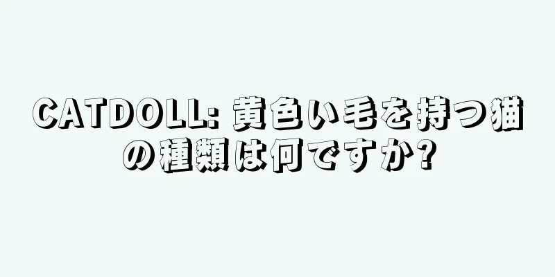 CATDOLL: 黄色い毛を持つ猫の種類は何ですか?