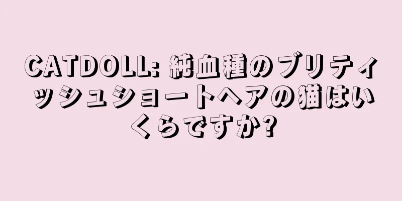 CATDOLL: 純血種のブリティッシュショートヘアの猫はいくらですか?