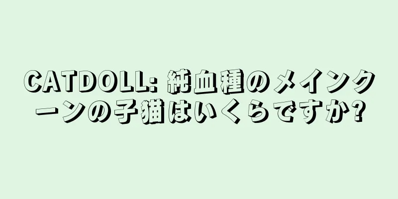 CATDOLL: 純血種のメインクーンの子猫はいくらですか?