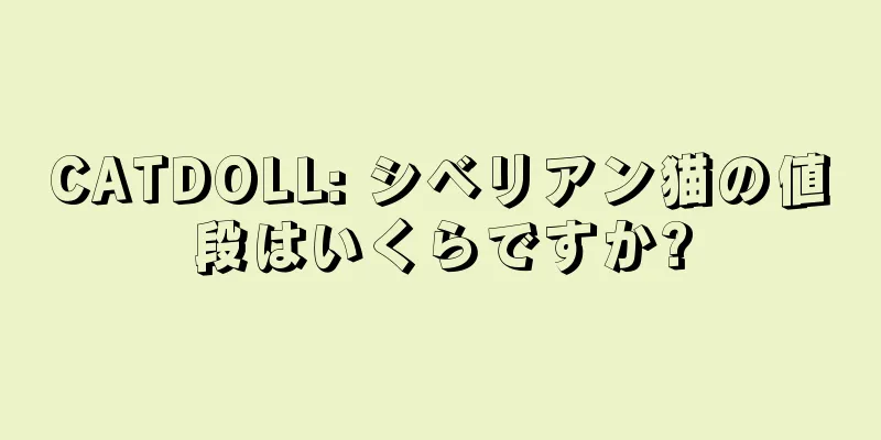 CATDOLL: シベリアン猫の値段はいくらですか?