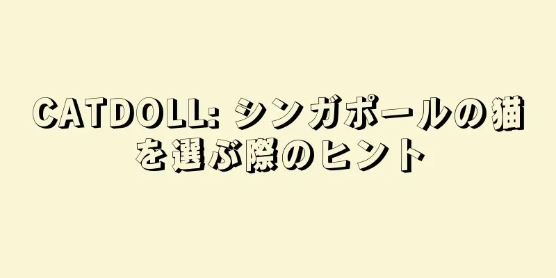 CATDOLL: シンガポールの猫を選ぶ際のヒント