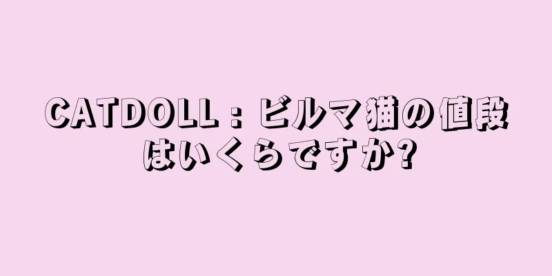 CATDOLL : ビルマ猫の値段はいくらですか?