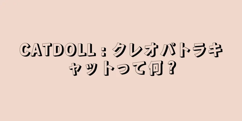 CATDOLL : クレオパトラキャットって何？