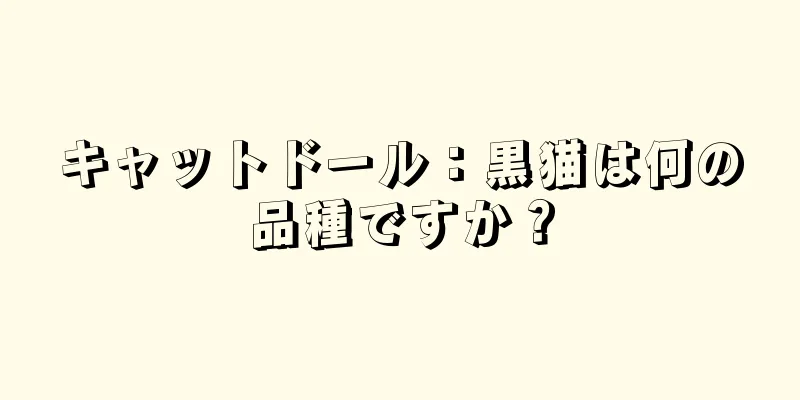 キャットドール：黒猫は何の品種ですか？