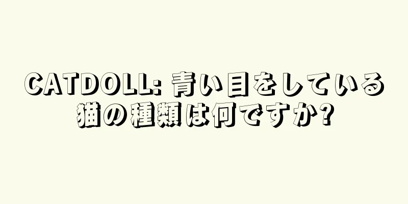 CATDOLL: 青い目をしている猫の種類は何ですか?