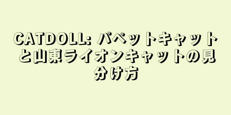 CATDOLL: パペットキャットと山東ライオンキャットの見分け方