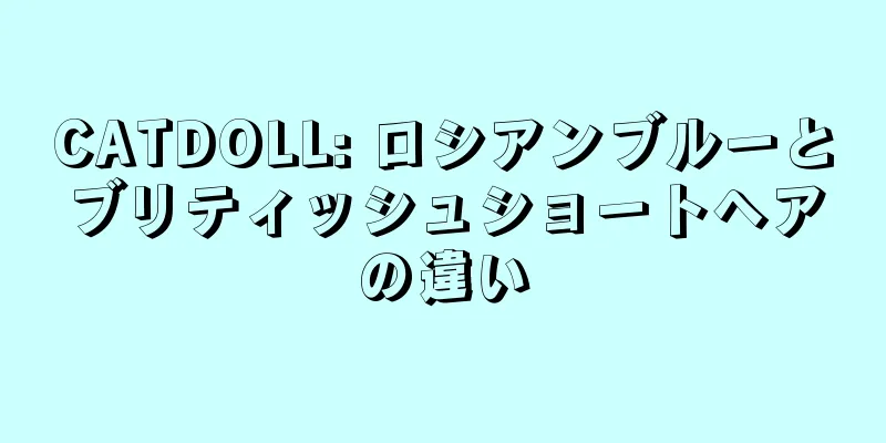 CATDOLL: ロシアンブルーとブリティッシュショートヘアの違い