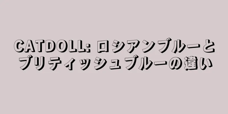 CATDOLL: ロシアンブルーとブリティッシュブルーの違い