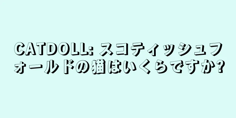 CATDOLL: スコティッシュフォールドの猫はいくらですか?