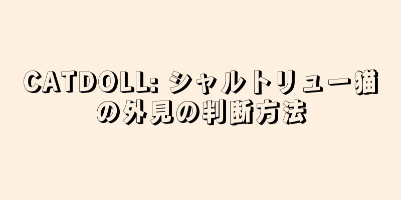CATDOLL: シャルトリュー猫の外見の判断方法