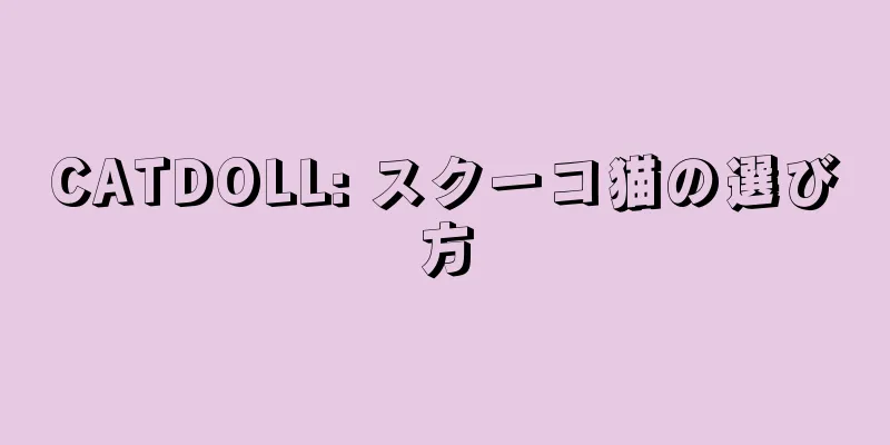CATDOLL: スクーコ猫の選び方
