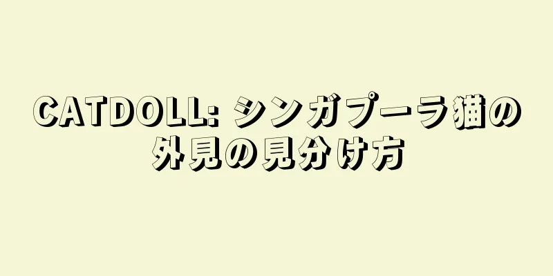 CATDOLL: シンガプーラ猫の外見の見分け方