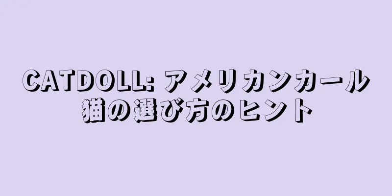 CATDOLL: アメリカンカール猫の選び方のヒント
