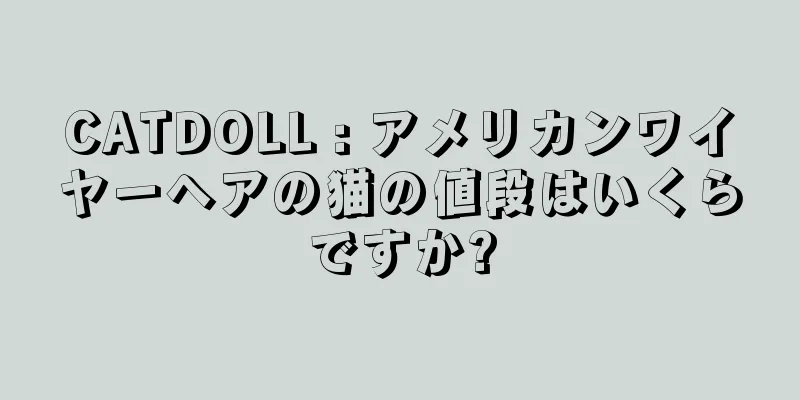 CATDOLL : アメリカンワイヤーヘアの猫の値段はいくらですか?