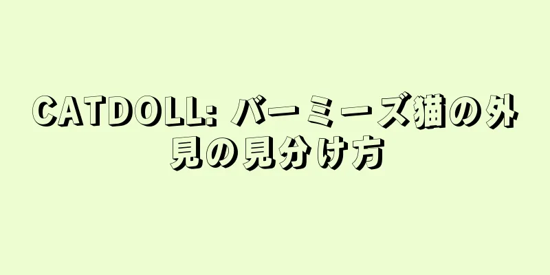 CATDOLL: バーミーズ猫の外見の見分け方