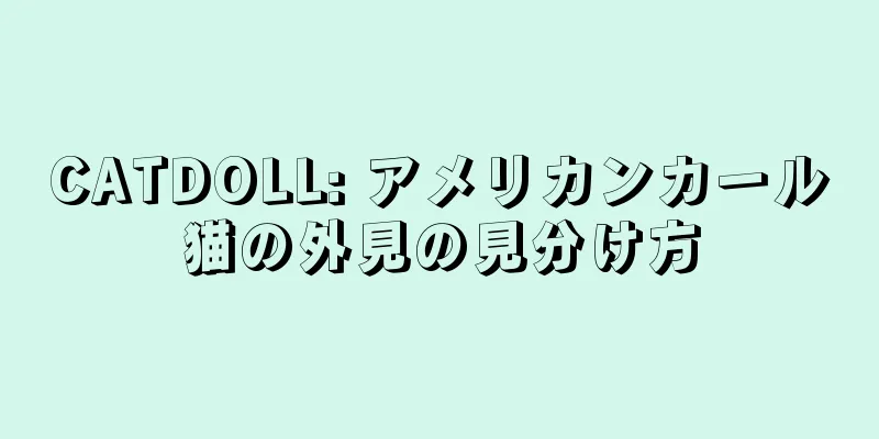 CATDOLL: アメリカンカール猫の外見の見分け方