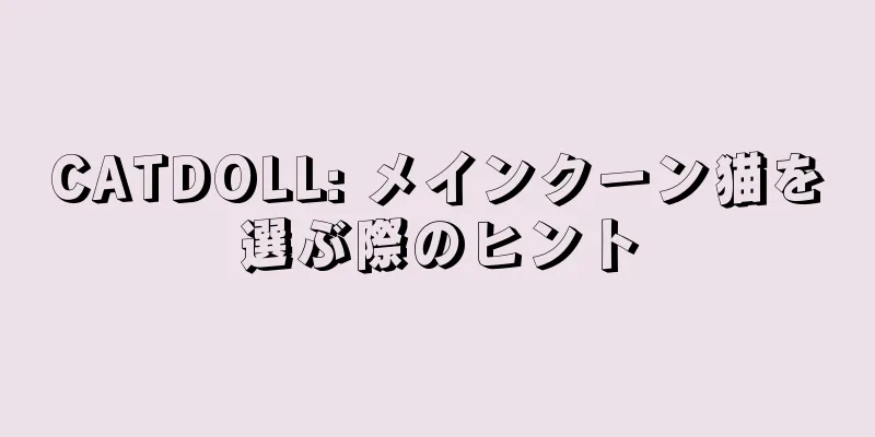CATDOLL: メインクーン猫を選ぶ際のヒント