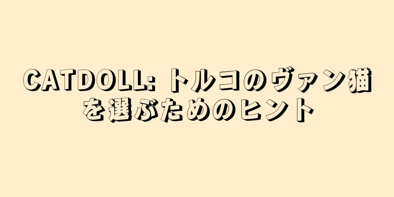 CATDOLL: トルコのヴァン猫を選ぶためのヒント