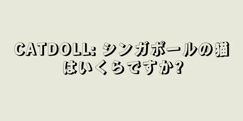 CATDOLL: シンガポールの猫はいくらですか?