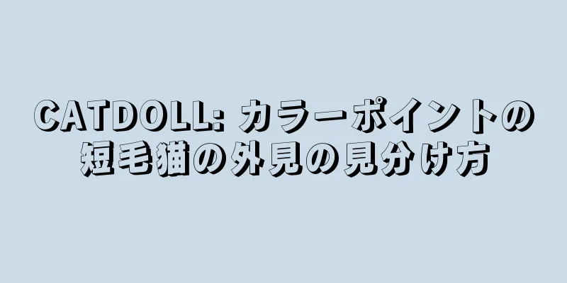 CATDOLL: カラーポイントの短毛猫の外見の見分け方