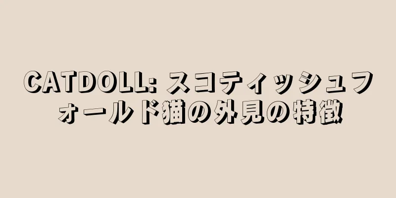 CATDOLL: スコティッシュフォールド猫の外見の特徴