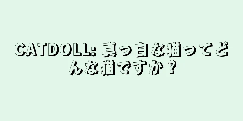 CATDOLL: 真っ白な猫ってどんな猫ですか？