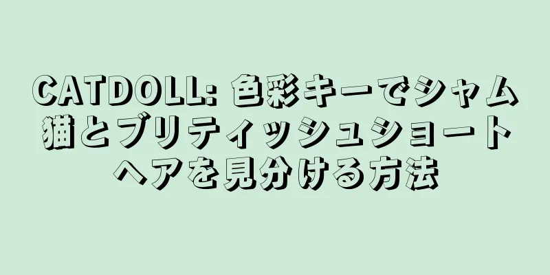 CATDOLL: 色彩キーでシャム猫とブリティッシュショートヘアを見分ける方法