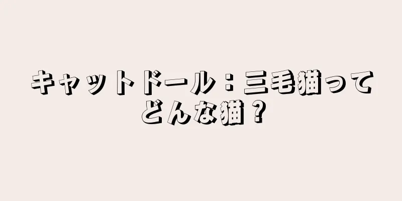 キャットドール：三毛猫ってどんな猫？