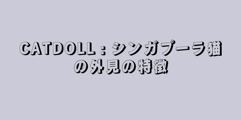 CATDOLL : シンガプーラ猫の外見の特徴