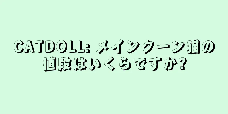CATDOLL: メインクーン猫の値段はいくらですか?