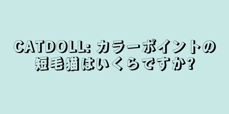 CATDOLL: カラーポイントの短毛猫はいくらですか?
