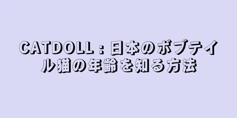 CATDOLL : 日本のボブテイル猫の年齢を知る方法