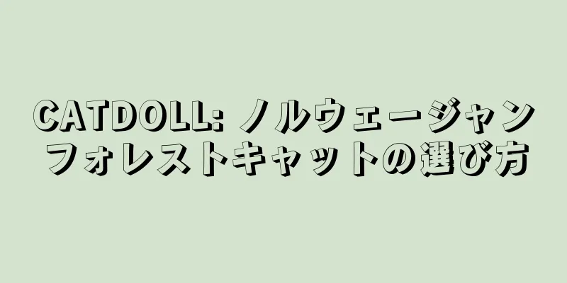 CATDOLL: ノルウェージャンフォレストキャットの選び方