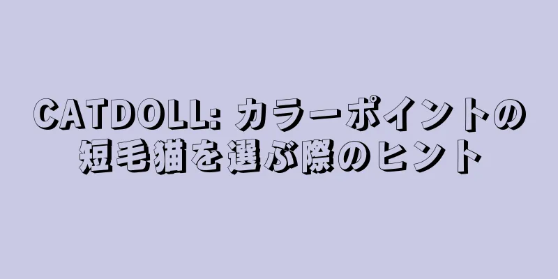 CATDOLL: カラーポイントの短毛猫を選ぶ際のヒント