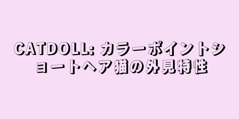 CATDOLL: カラーポイントショートヘア猫の外見特性