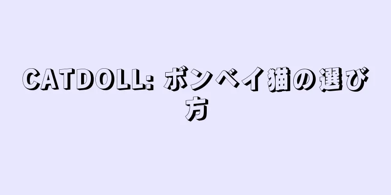 CATDOLL: ボンベイ猫の選び方