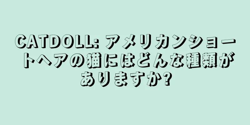 CATDOLL: アメリカンショートヘアの猫にはどんな種類がありますか?