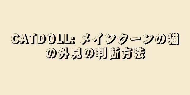 CATDOLL: メインクーンの猫の外見の判断方法