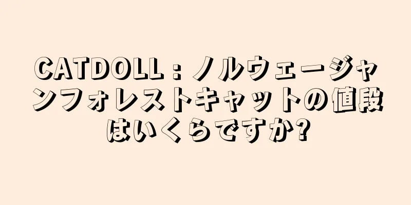 CATDOLL : ノルウェージャンフォレストキャットの値段はいくらですか?
