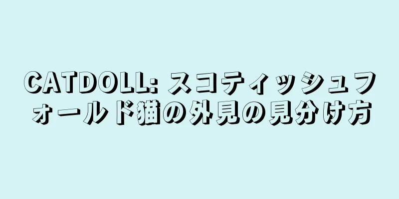 CATDOLL: スコティッシュフォールド猫の外見の見分け方