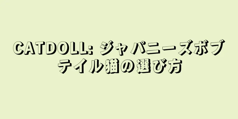 CATDOLL: ジャパニーズボブテイル猫の選び方