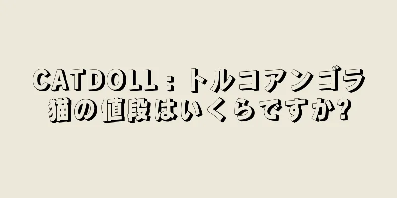 CATDOLL : トルコアンゴラ猫の値段はいくらですか?