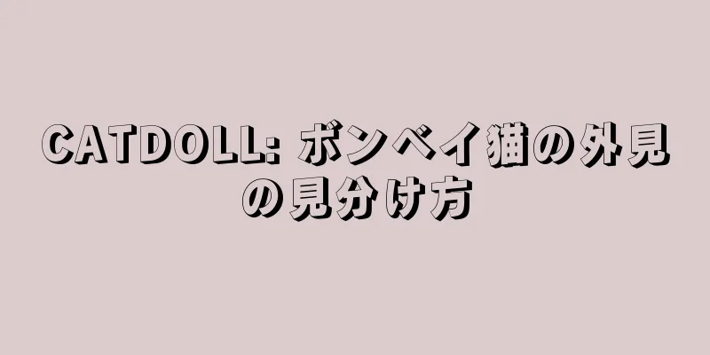 CATDOLL: ボンベイ猫の外見の見分け方