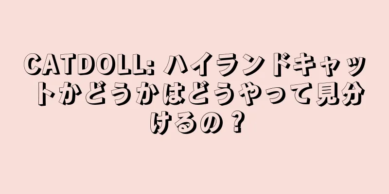CATDOLL: ハイランドキャットかどうかはどうやって見分けるの？